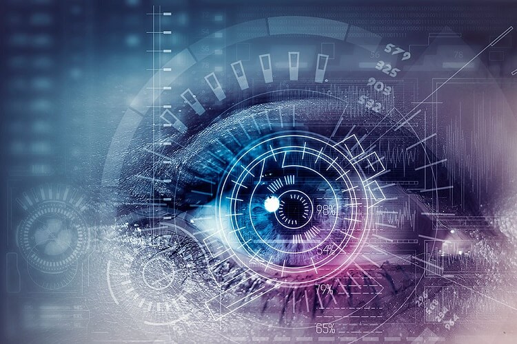 general systems theory woman's digital eye