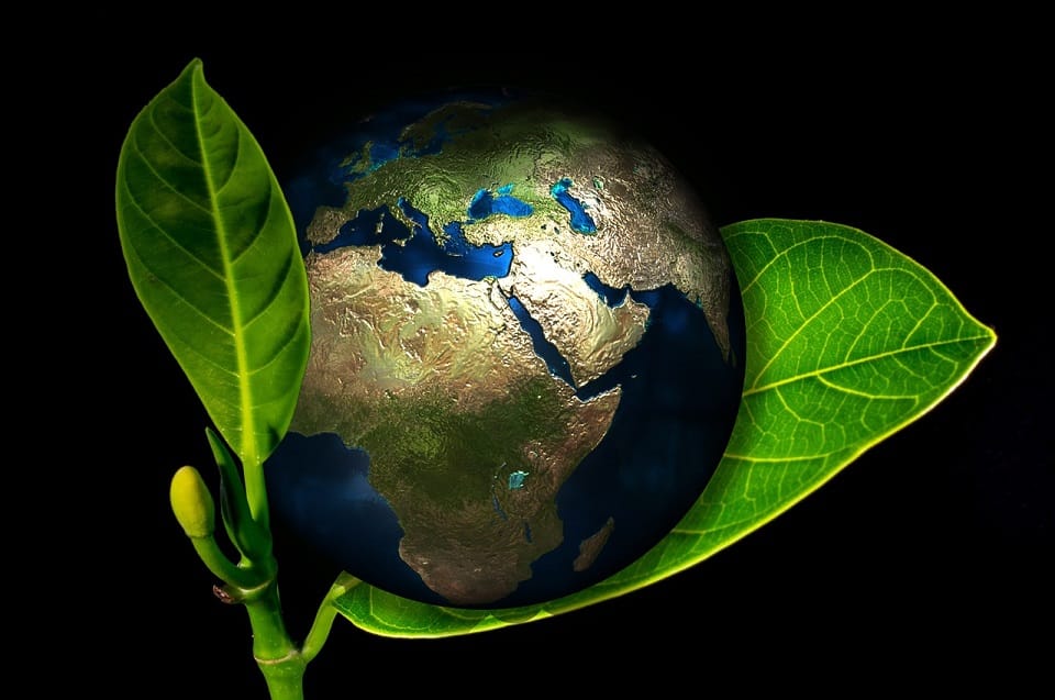 Starting an eco-friendly business is a great idea